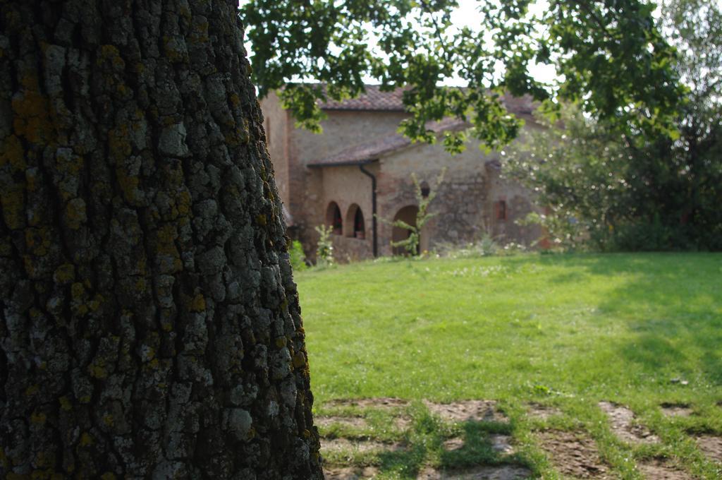Agriturismo Cerreto Pienza Dış mekan fotoğraf