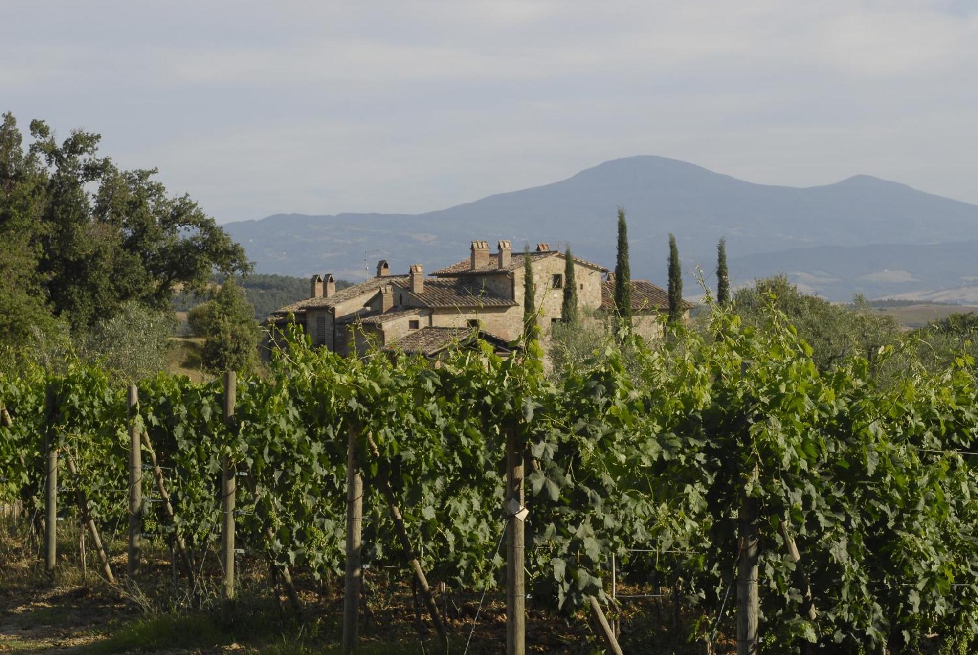 Agriturismo Cerreto Pienza Dış mekan fotoğraf