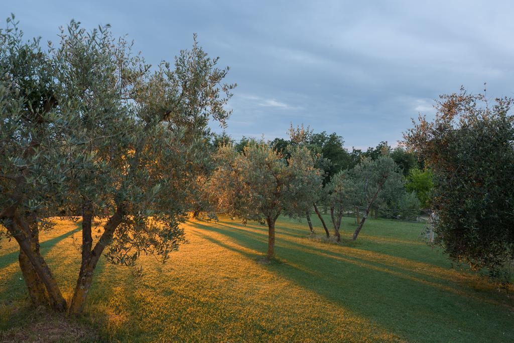 Agriturismo Cerreto Pienza Dış mekan fotoğraf